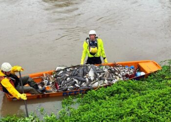 Duas empresas são autuadas e podem pagar mais de R$ 2 milhões por contaminação que matou peixes em Jaraguá