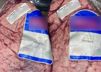 Homem é detido após furtar picanha em Guaramirim