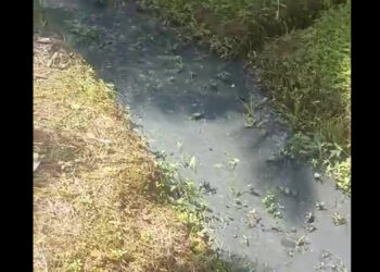 “Despejo de dejetos”: Prefeitura de Jaraguá do Sul investiga novo caso de poluição ambiental