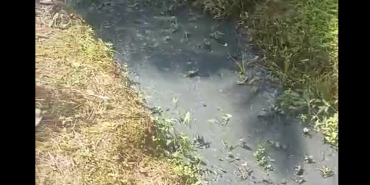 “Despejo de dejetos”: Prefeitura de Jaraguá do Sul investiga novo caso de poluição ambiental