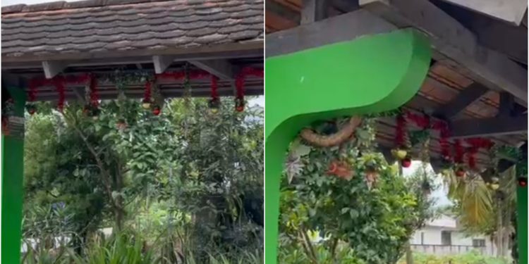 [Vídeo] Em clima de Natal, casal jaraguaense enfeita ponto de ônibus