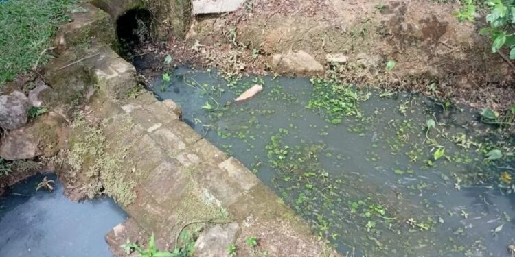 Fujama estipula em R$ 33 mil multa à empresa responsável por poluição hídrica em Jaraguá do Sul