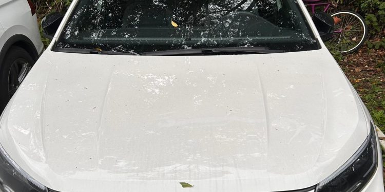 “R$ 50 milhões movimentados”: Homem é preso por lavagem de dinheiro do crime organizado em Joinville