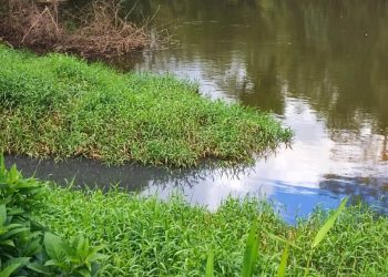 Fujama atende denúncia de possível poluição hídrica em córrego de Jaraguá do Sul