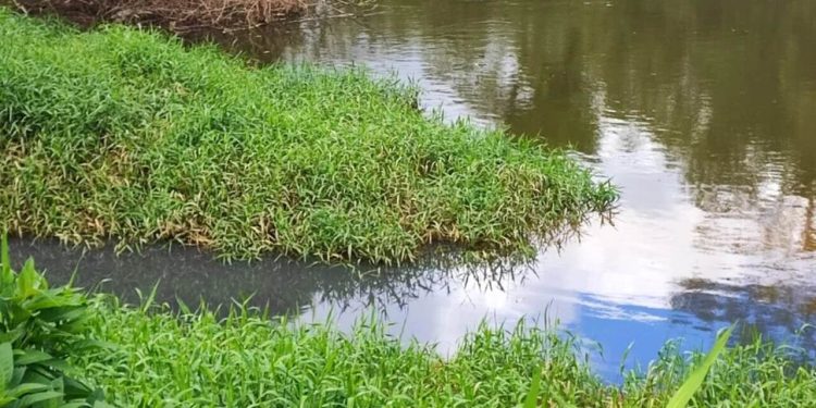 Fujama atende denúncia de possível poluição hídrica em córrego de Jaraguá do Sul
