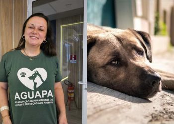 Associação de Apoio e Proteção aos Animais é formada em Guaramirim com objetivos nobres