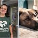Associação de Apoio e Proteção aos Animais é formada em Guaramirim com objetivos nobres