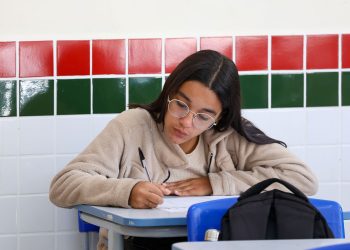 Matrículas para a rede estadual de ensino de SC começam nesta quinta-feira (13)