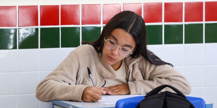 Matrículas para a rede estadual de ensino de SC começam nesta quinta-feira (13)