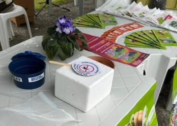 Jaraguá do Sul terá ação de combate à dengue neste sábado (22)