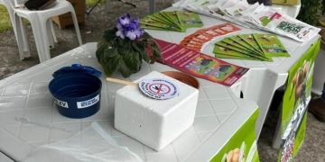 Jaraguá do Sul terá ação de combate à dengue neste sábado (22)