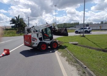 Limpeza é iniciada no trecho estadualizado da BR-280, em Guaramirim