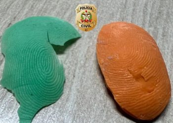 Polícia Civil prende servidores da saúde de Schroeder por fraude em ponto eletrônico