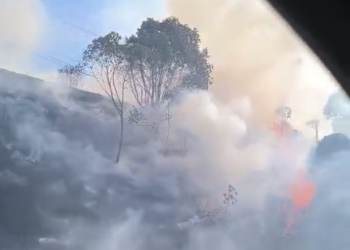 [Vídeo] Incêndio em vegetação é registrado em Guaramirim