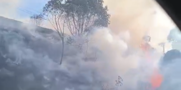 [Vídeo] Incêndio em vegetação é registrado em Guaramirim
