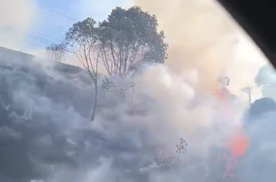 [Vídeo] Incêndio em vegetação é registrado em Guaramirim