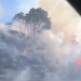 [Vídeo] Incêndio em vegetação é registrado em Guaramirim