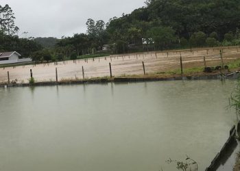 Saque calamidade do FGTS é disponibilizado para moradores de Massaranduba