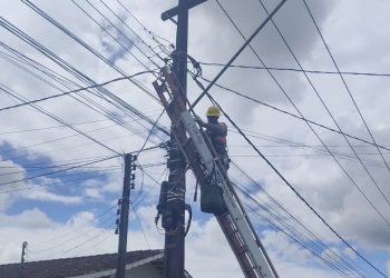 [Fotos] Força-tarefa faz a limpeza de cabeamentos em postes em Guaramirim