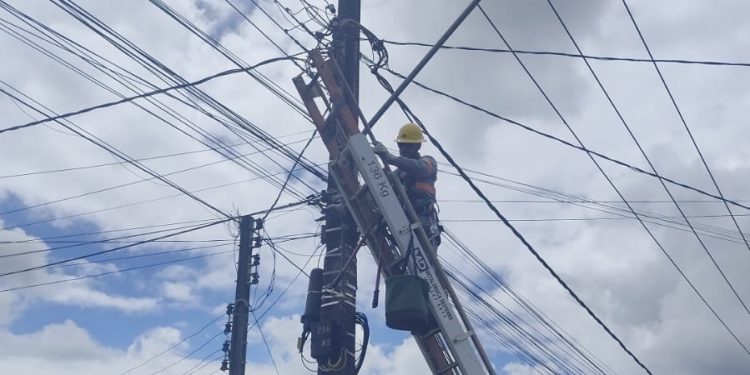 [Fotos] Força-tarefa faz a limpeza de cabeamentos em postes em Guaramirim