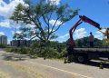 Árvore cai sobre a ponte da Rede Feminina e quebra estrutura em Jaraguá do Sul