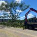 Árvore cai sobre a ponte da Rede Feminina e quebra estrutura em Jaraguá do Sul