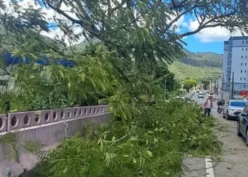 Defesa Civil de Jaraguá do Sul registrou 16 ocorrências nas últimas horas