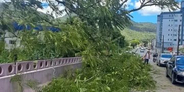 Defesa Civil de Jaraguá do Sul registrou 16 ocorrências nas últimas horas