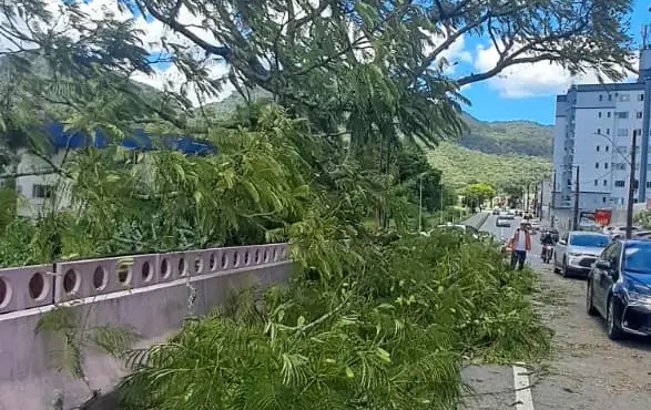 Defesa Civil de Jaraguá do Sul registrou 16 ocorrências nas últimas horas