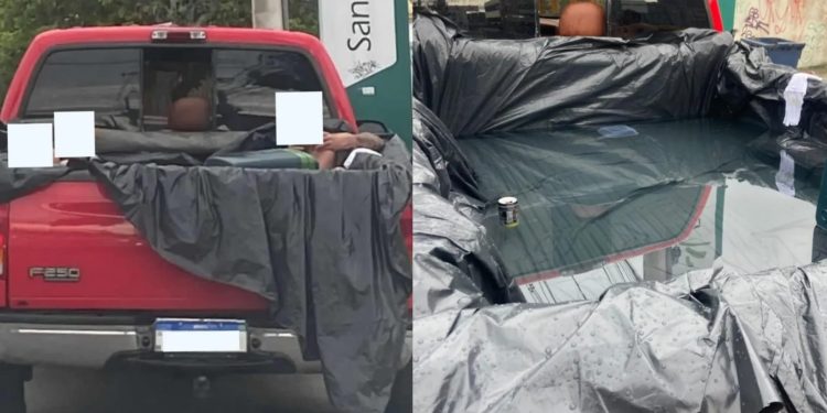 Motorista é flagrado transportando passageiros em piscina improvisada na picape em Florianópolis