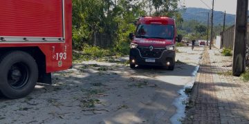Queda de árvores em Jaraguá do Sul deixa duas pessoas gravemente feridas