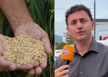 [Vídeo] Deputado critica importações de arroz do Governo Federal e defende produtores de arroz de SC