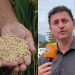 [Vídeo] Deputado critica importações de arroz do Governo Federal e defende produtores de arroz de SC