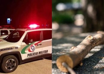 Mãe é presa após agredir filho de 8 anos com galho de árvore em Santa Catarina