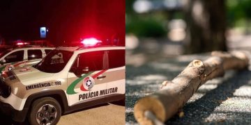 Mãe é presa após agredir filho de 8 anos com galho de árvore em Santa Catarina