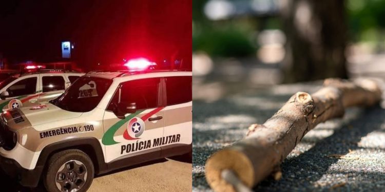 Mãe é presa após agredir filho de 8 anos com galho de árvore em Santa Catarina