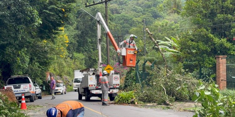 [Vídeo] Trânsito em meia pista em trecho da Rua Adolfo Antônio Emmendoerfer, em Jaraguá do Sul