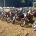 Jaraguá do Sul terá leilão de veículos com 64 automóveis e 44 motocicletas