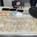 Polícia Militar prende líder do tráfico e apreende adolescente com quase 1 kg de drogas em Guaramirim