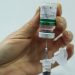 Guaramirim promove Dia D de vacinação contra a Influenza neste sábado (28)