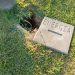 Fiação elétrica é furtada em oito postes na BR-280, em Guaramirim