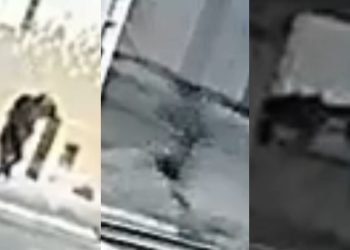“Corre”: Ladrões levam ‘chumbo’ e são presos após tentarem arrombar loja em Massaranduba