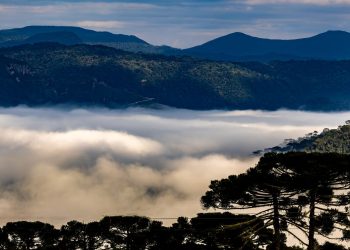 Dia das Mães terá frio intenso e geada em Santa Catarina