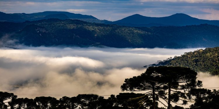 Dia das Mães terá frio intenso e geada em Santa Catarina