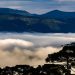 Dia das Mães terá frio intenso e geada em Santa Catarina
