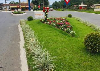Prefeitura de Jaraguá do Sul abre inscrições para o Programa Adote o Verde