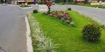 Prefeitura de Jaraguá do Sul abre inscrições para o Programa Adote o Verde