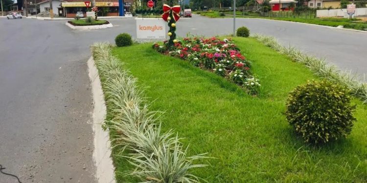Prefeitura de Jaraguá do Sul abre inscrições para o Programa Adote o Verde
