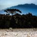 Inverno começa com onda de frio intenso em Santa Catarina