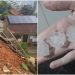 Jaraguá do Sul decreta situação de emergência após chuva de granizo